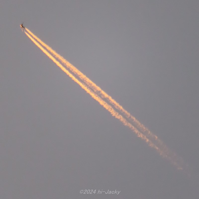 朝焼けの中の飛行機雲