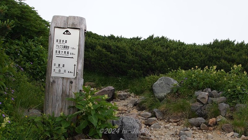 白山の平瀬道登山道と道標