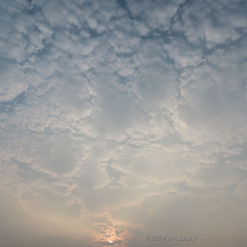 ベナール対流の雲