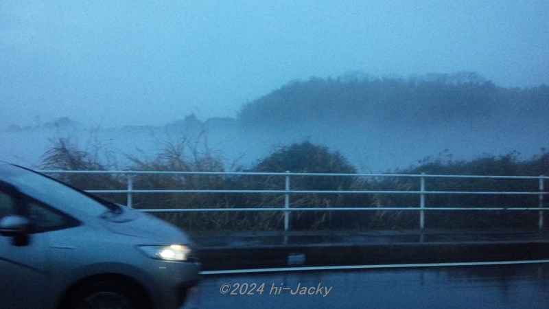 愛知池の移流霧