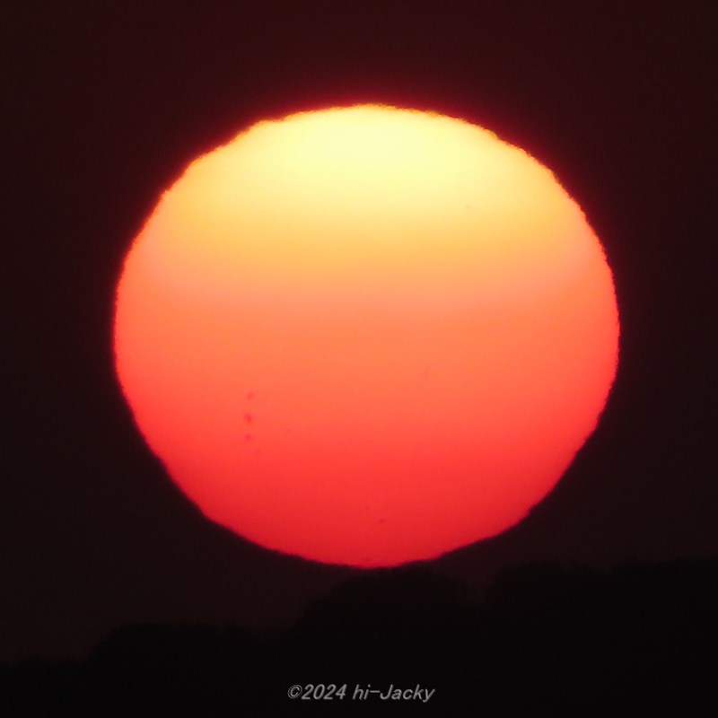 太陽黒点が見える太陽