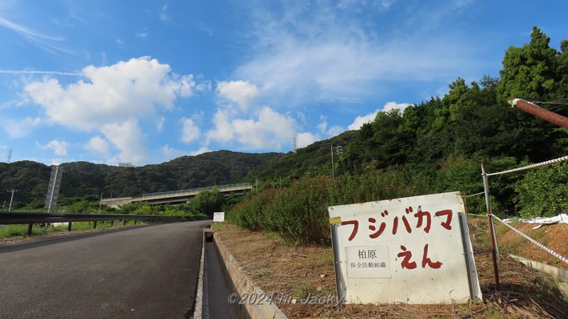 遠望峰山のふもとのフジバカマ園