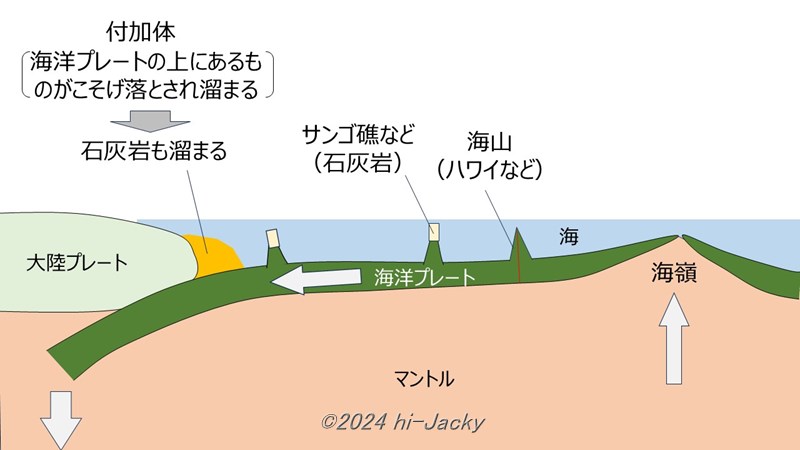 石灰岩のできる理由