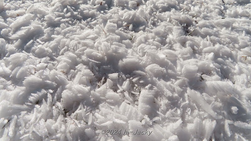 霧氷が木から落ちたものが積もったところ