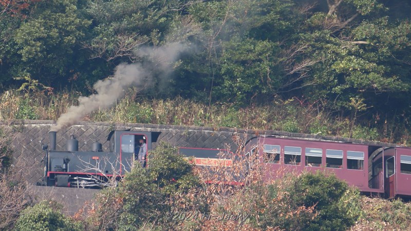 愛知こどもの国の蒸気機関車