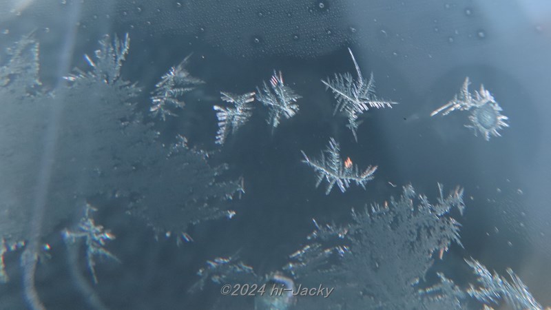 自動車のフロントガラスにできた氷の結晶，樹枝状晶，デンドライト