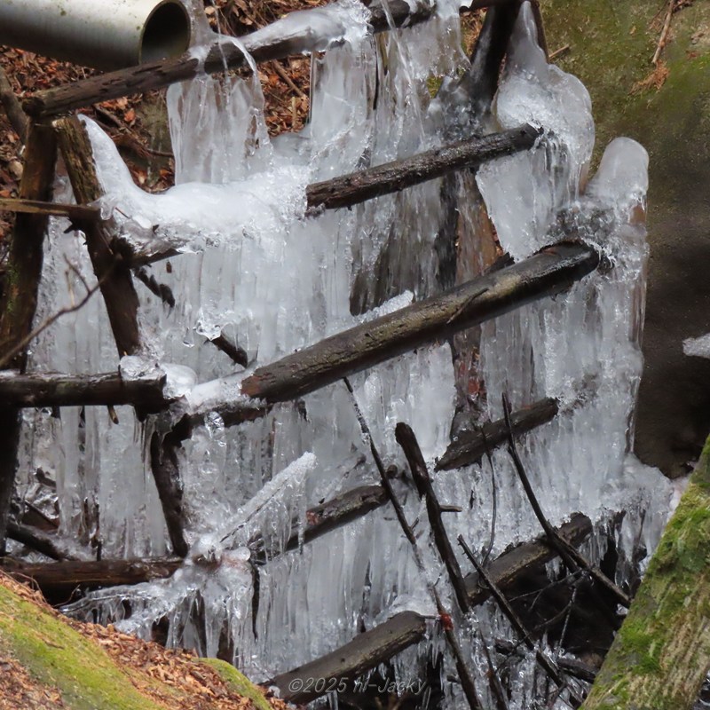 2025年の本宮山山頂付近の氷