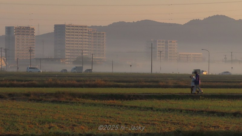 幸田町相見の秋の霧