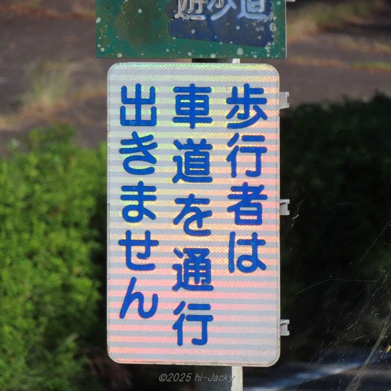 虹色に光った道路の看板