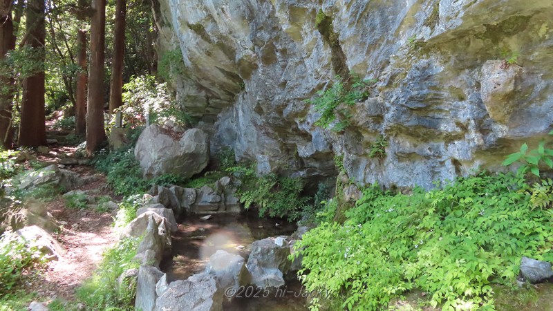 石巻山の「このしろ池」