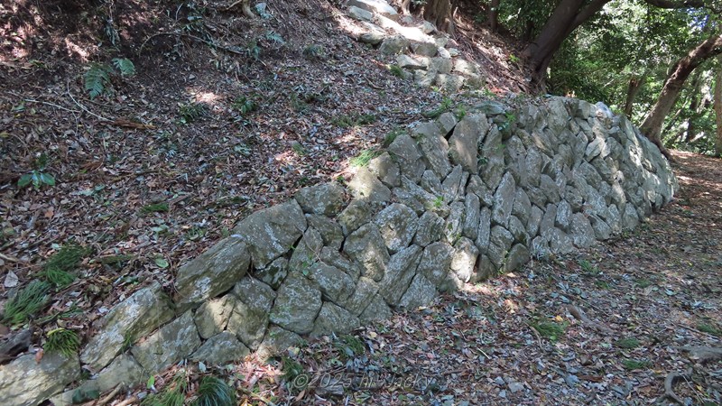 石巻山城跡の石垣