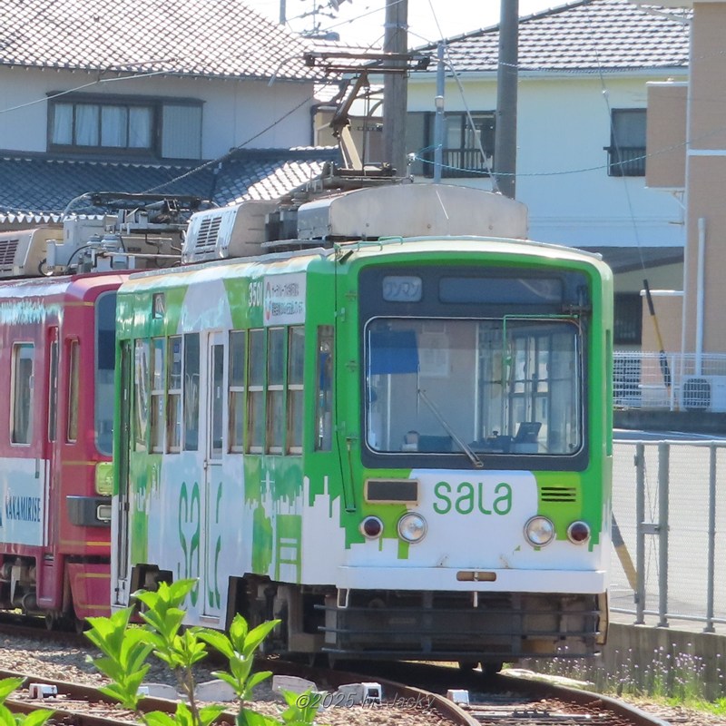 豊橋の路面電車,3500形(3501,ラッピング:Sala)
