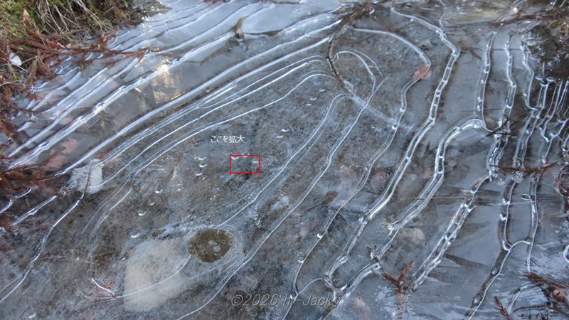 気泡の観察場所