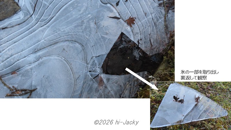 氷を割って氷の裏面を観察
