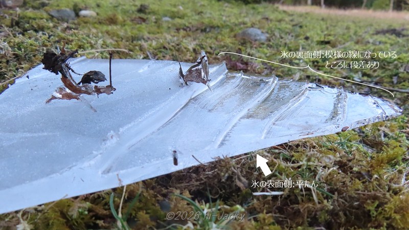 氷の裏面に段差が形成されている様子