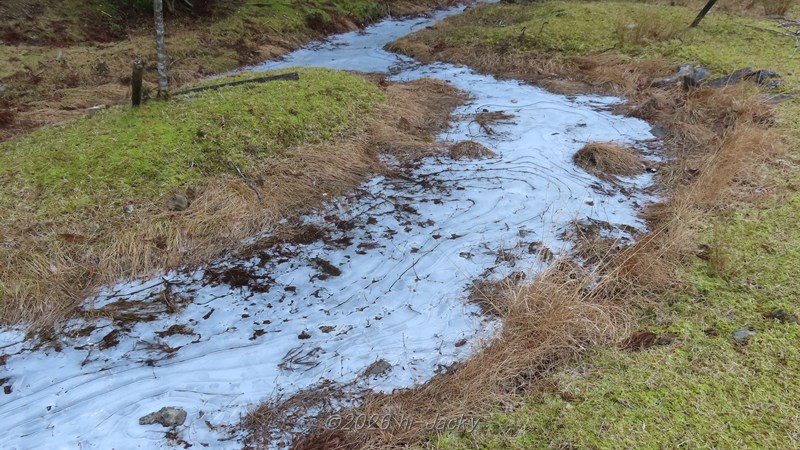 枯山水の庭園のような氷の模様