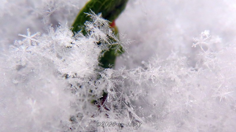 積もった雪の接写