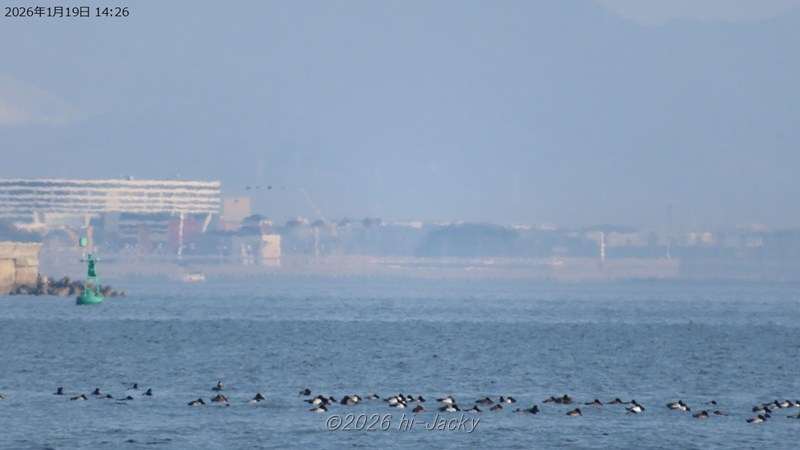 上位蜃気楼が現れたときのラグーナ蒲郡