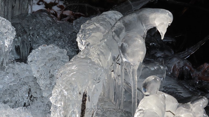 動物のような形の氷