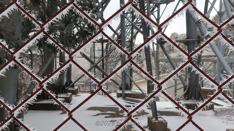 金網フェンスに付いた樹霜