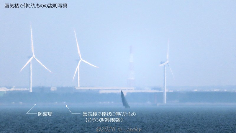 白いものが伸びていない様子