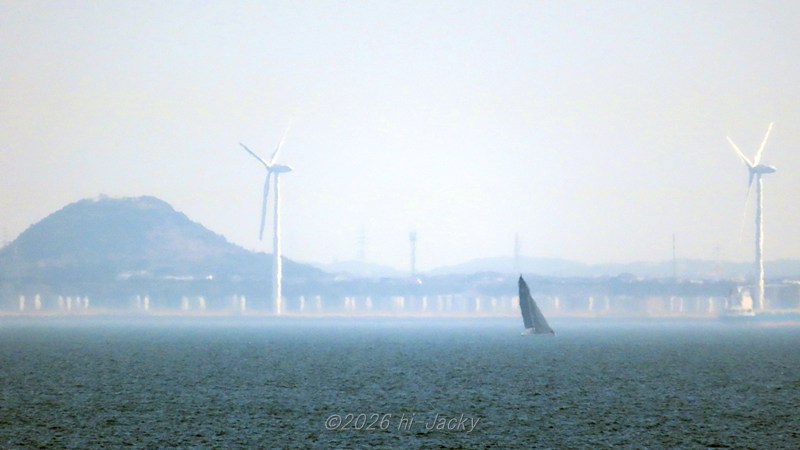 堤防上の白いものが棒状に伸びた