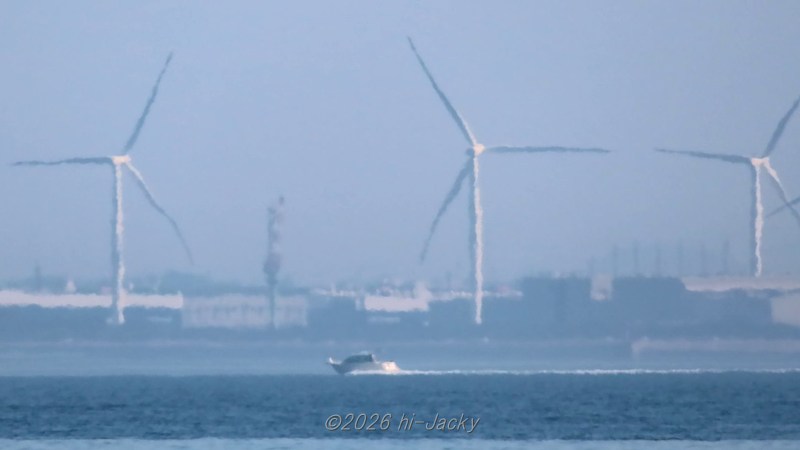 羽根の曲がった風車